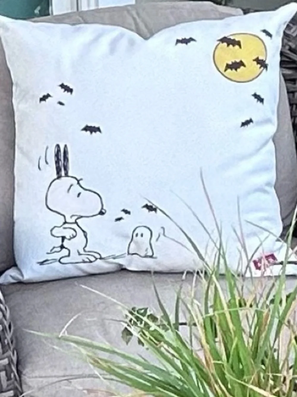 Pottery Barn Peanuts Snoopy Pillows Ghost Bats Set of 2